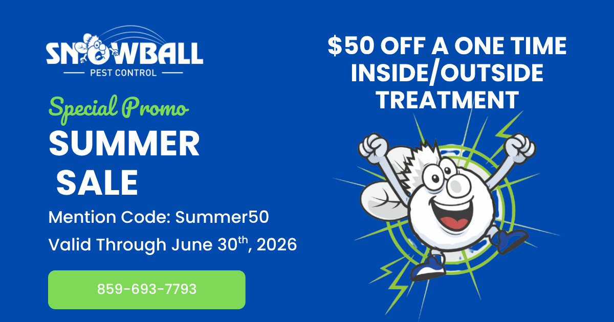Snowball Pest Control Summer Special